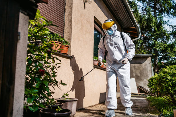 Bird Control in Penn Valley, CA