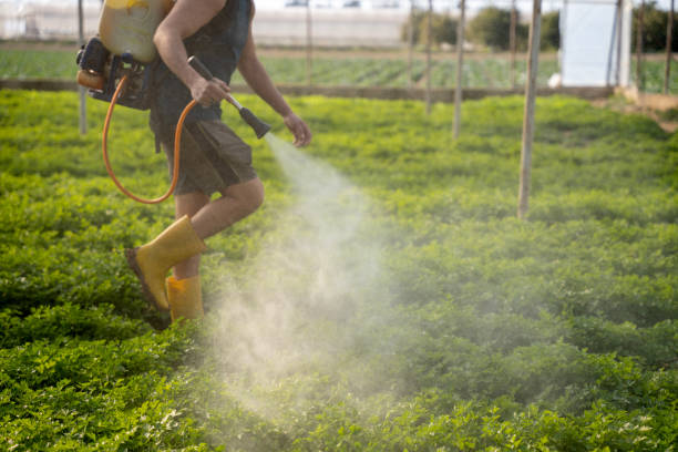 Insect Control in Penn Valley, CA